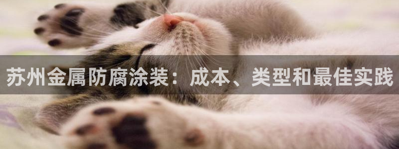 美高梅酒店房价