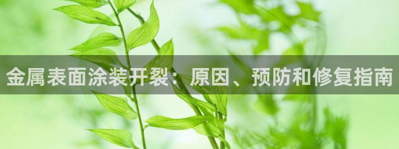 美高梅剧院官网