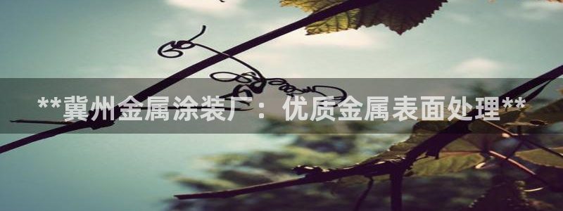 美高梅酒店管理有限公司