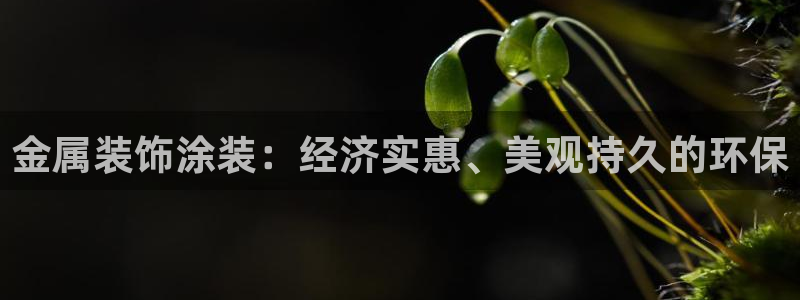 美高梅总部在哪里