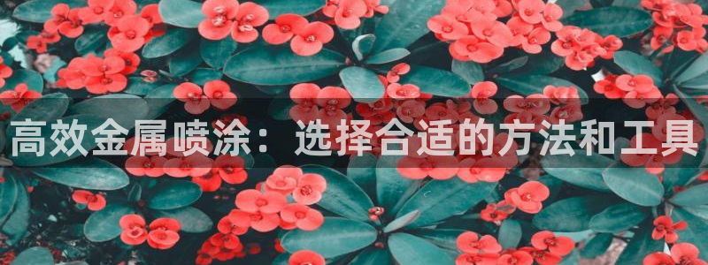 美高梅一千万筹码