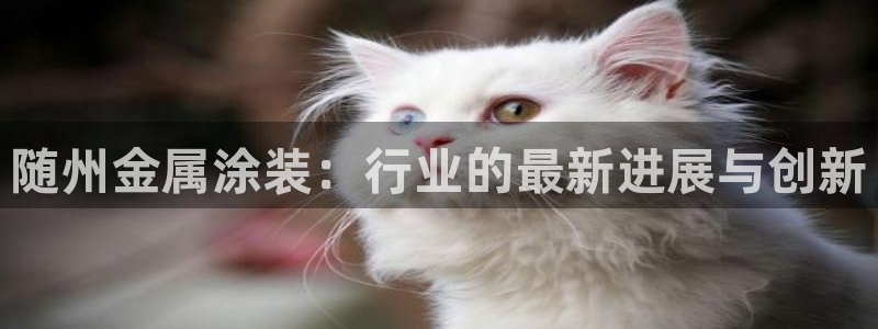 美高梅酒店和丽思卡尔顿哪个好