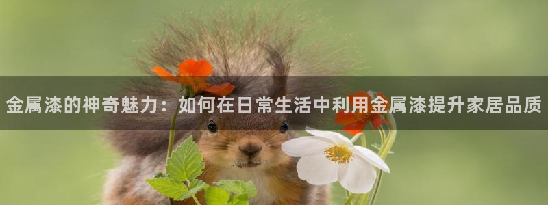 澳门有几家美高梅酒店