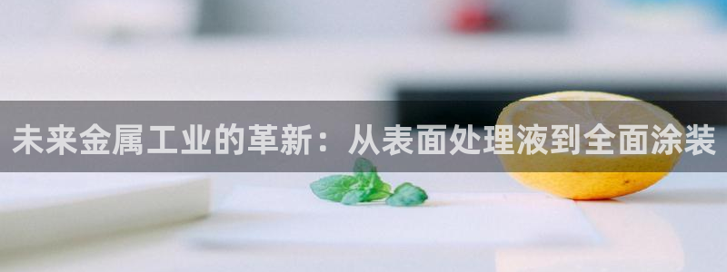 美高梅是做什么的澳门何超琼