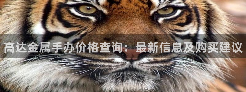 美高梅股票代码
