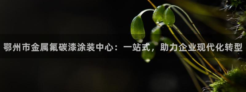 美高梅广场房价会涨吗