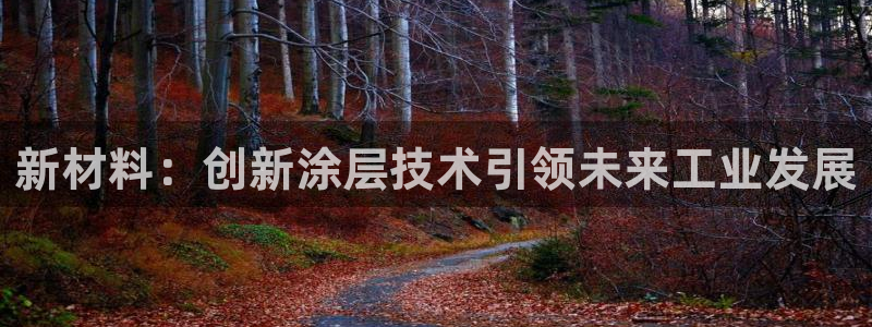 美高梅控股有限公司怎么样