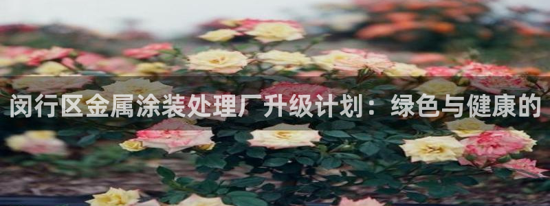 美高梅是什么意思啊