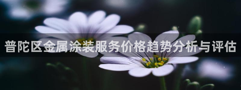 美高梅别墅户型图600平