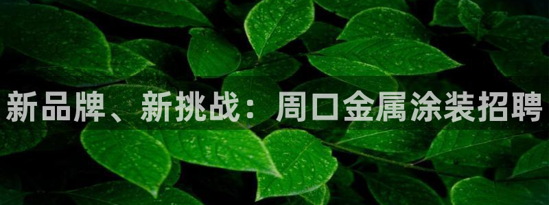 美高梅酒店是谁开的