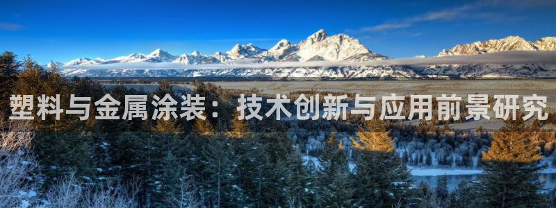 美高梅空气炸锅怎么样好用吗