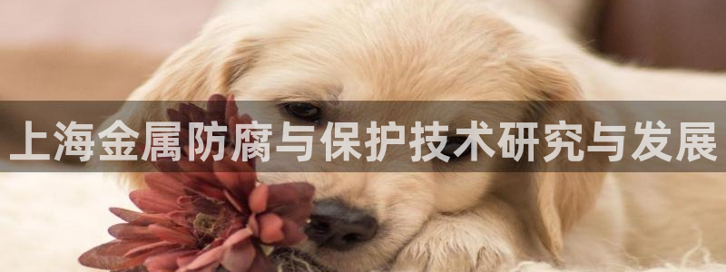 美高梅会员卡初始密码多少