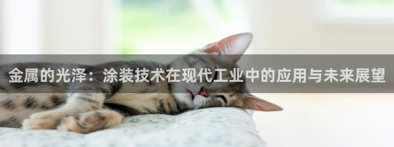 美高梅早餐价格