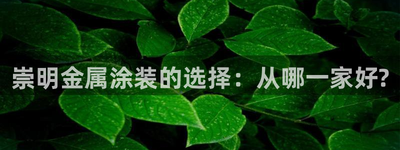 美高梅酒店会员卡级别