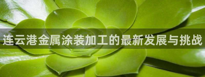 美高梅现