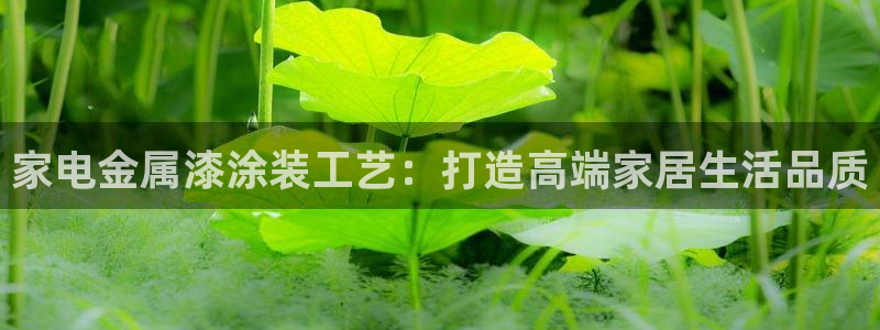 美高梅别墅是精装吗还是毛坯