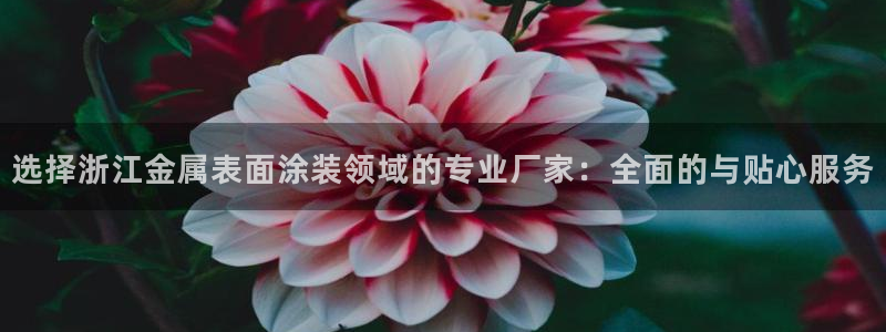 美高梅旁边还有什么酒店