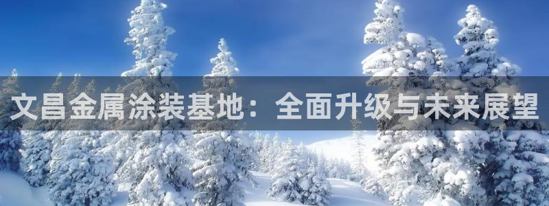美高梅会员卡好用不