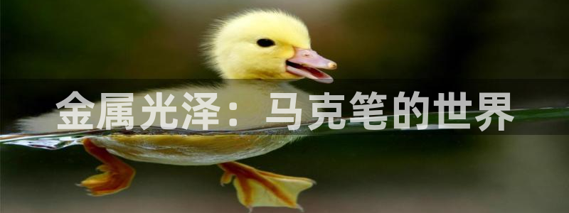 美狮美高梅酒店什么时候开业