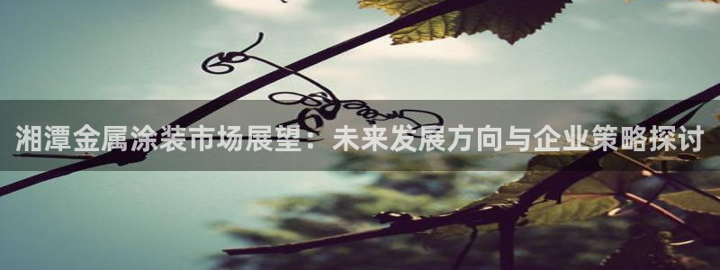 美高梅何超琼股份