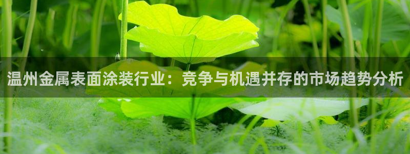美高梅控股有限公司