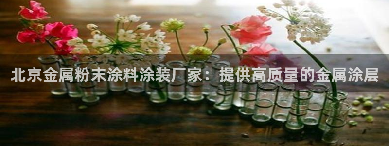 美高梅酒店空中海洋秀
