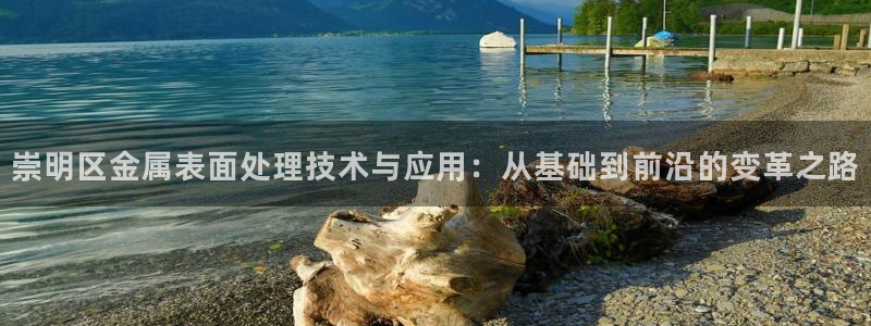 美高梅的狮子是纯金的吗