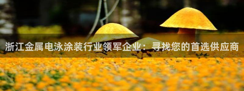 美高梅酒店里的饮料免费吗：浙江金属电泳涂