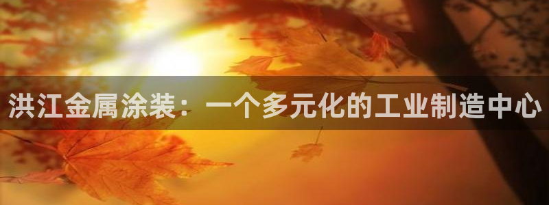 美高梅集团何超琼：洪江金属涂装：一个多元
