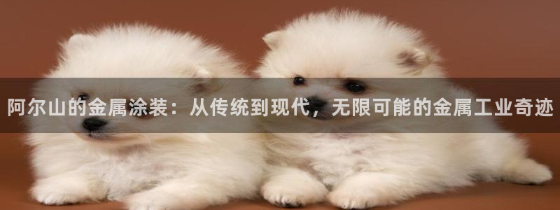 美高梅会员卡有什么用