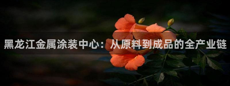 美狮美高梅酒店积分