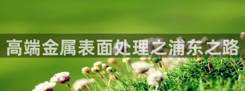 美狮美高梅酒店积分