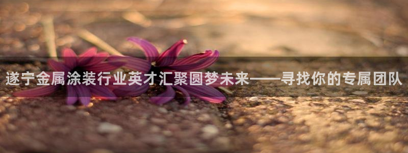 美高梅酒店品牌系列