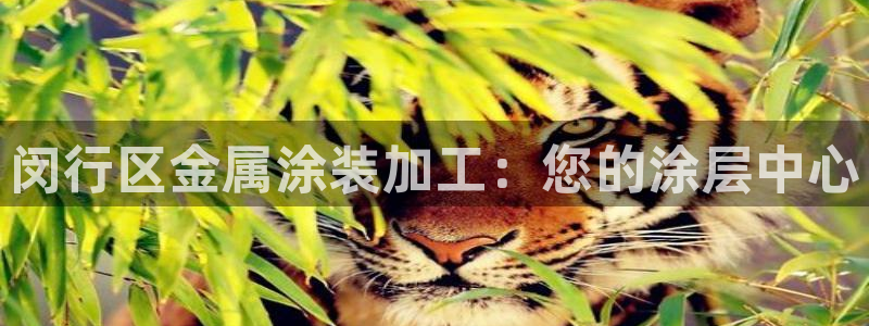 美高梅天幕广场表演