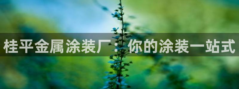 美高梅酒店多少钱一晚三亚