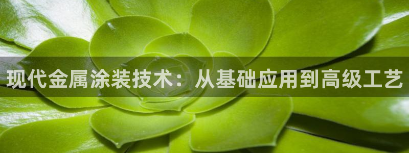 美高梅百款游戏手机版