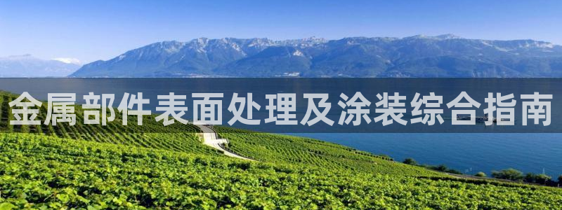 美狮美高梅酒店里的娱乐场承包出去了吗