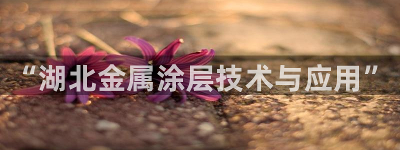 米高梅酒店和美高梅酒店