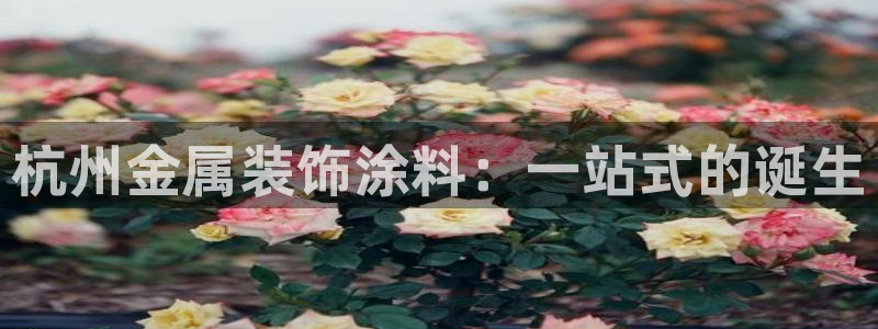 美高梅官方版app充值方法