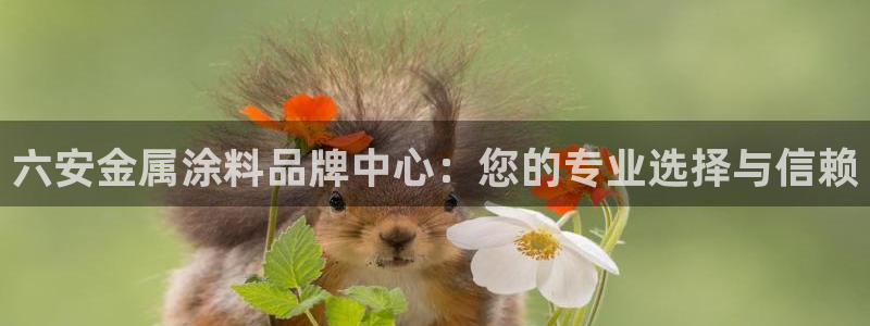 美狮美高梅酒店黑卡400餐卷