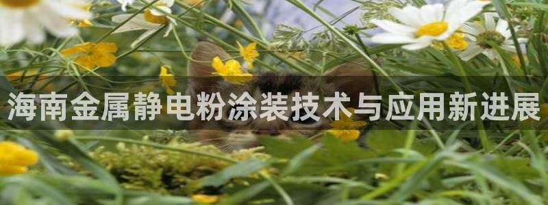 美高梅别墅在哪里