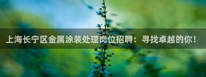 美高梅提现成功却没有到账
