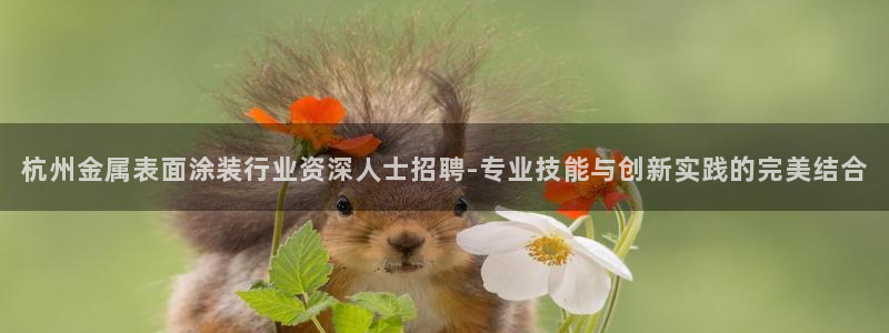 美高梅会员等级