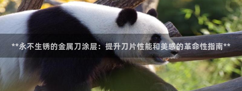 美高梅酒店vogue杂志
